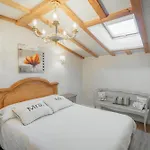 El Cedro